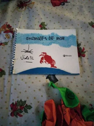 Peluche, Libros Infantiles y Globos