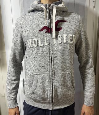 Sudadera Hollister Gris con Capucha