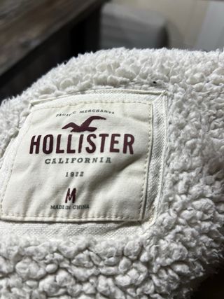 Sudadera Hollister Gris con Capucha