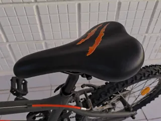 Bicicleta aluminio 20"