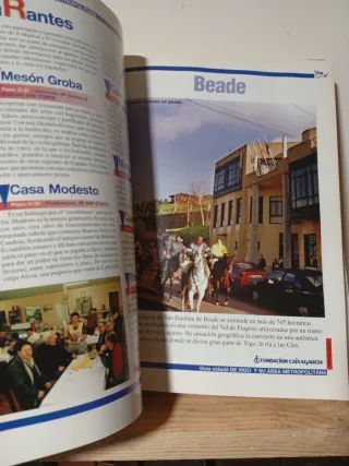 Guia cidada de vigo y si área metropolitana