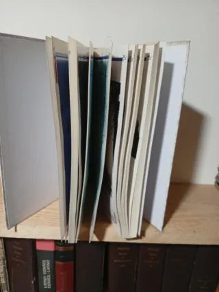 Guia cidada de vigo y si área metropolitana