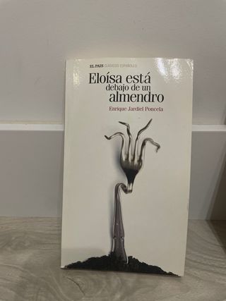 Eloísa está debajo de un almendro.