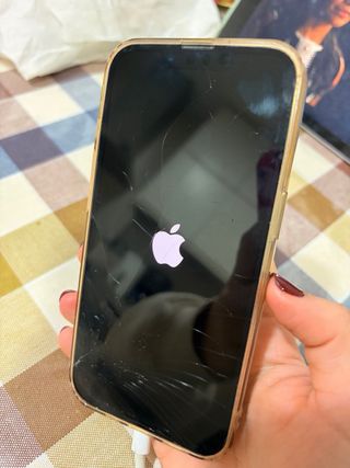 iPhone 13 Pro 256GB Plata