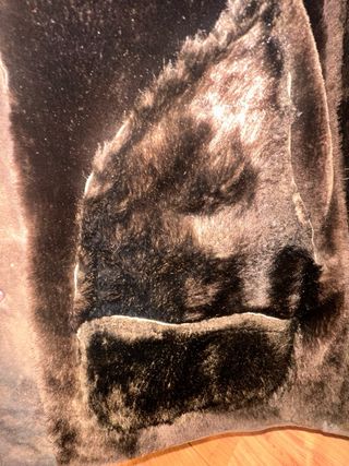 Chaqueta Piel Oveja Sawyer of Napa Marrón