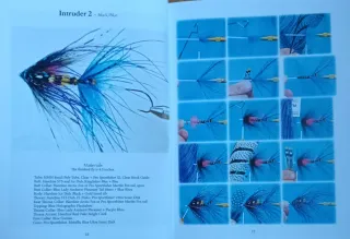 Libro "Intruder Essentials" de Jay W. Nicholas