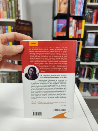 La princesa de hielo: Misterios y secretos fami...