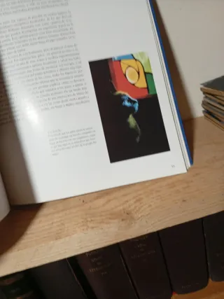 Pur Que Pintan Lost Gatos