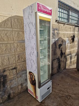 Expositor Vertical Cristal Puerta congelador slim