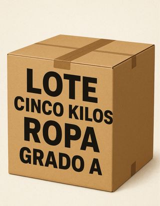 Lote Ropa 5kg Grado A ALVARO