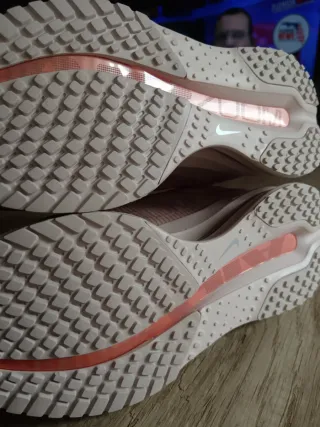 Zapatillas Nike Pegasus Premium Mujer