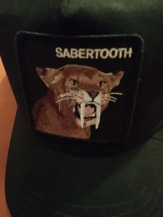 Gorra Goorin Bros Sabertooth Negra