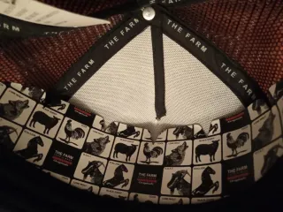 Gorra Goorin Bros Sabertooth Negra