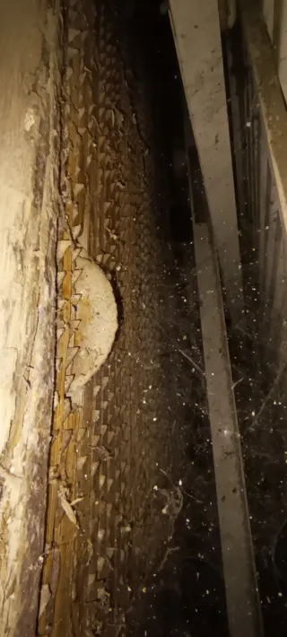 Trillo antiguo de madera, Trilladora y harados