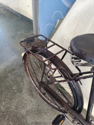 Bicicleta Clássica Triumph Roda 26