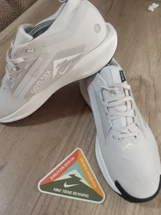 Zapatillas Nike Pegasus Trail Gore-Tex