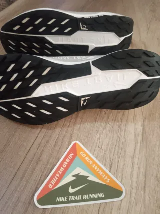 Zapatillas Nike Pegasus Trail Gore-Tex