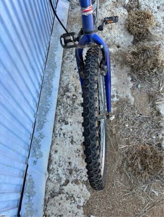 Bicicleta WINTRACK HOMESTER