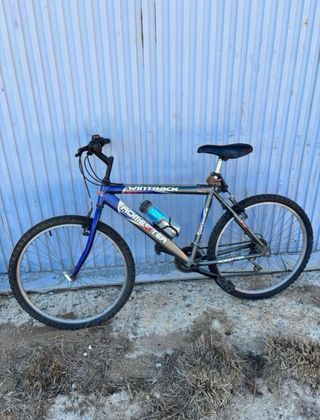 Bicicleta WINTRACK HOMESTER