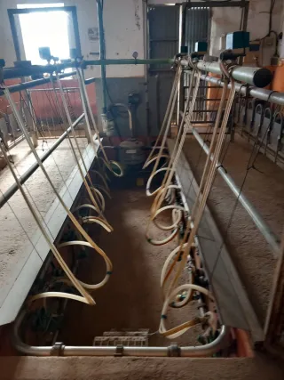 Sala de ordeño completa