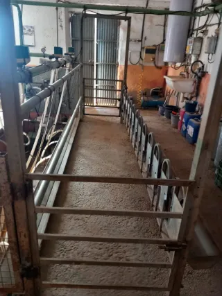 Sala de ordeño completa