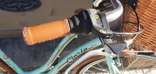 Bicicleta Clásica Mint con Cesta