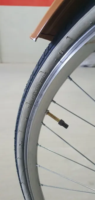 Bicicleta Clásica Mint con Cesta