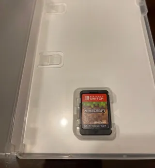 Minecraft Nintendo Switch