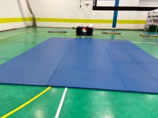 Tatami Judo en buen estado