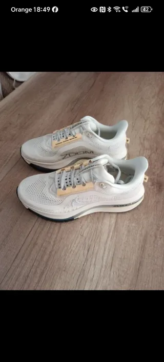 Zapatillas Nike Pegasus Premium