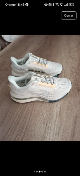 Zapatillas Nike Pegasus Premium