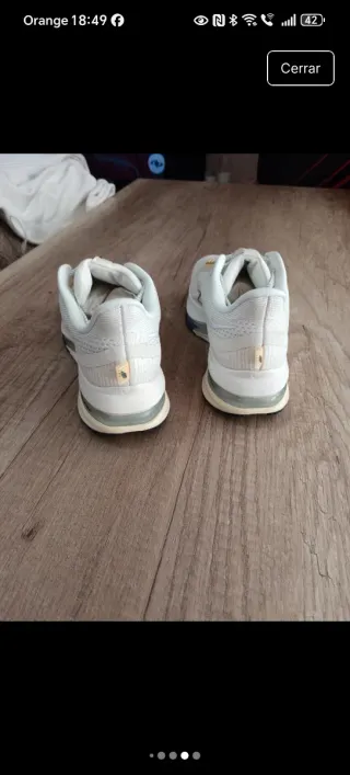 Zapatillas Nike Pegasus Premium