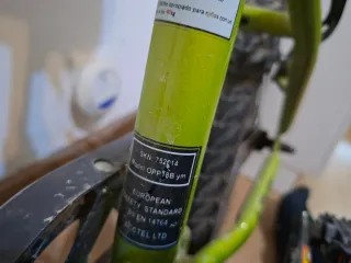 Bicicleta infantil verde