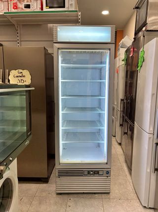 Congelador Iarp Industrial económica y garantia