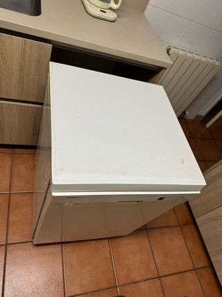 Lavavajillas Siemens Lady of Spain