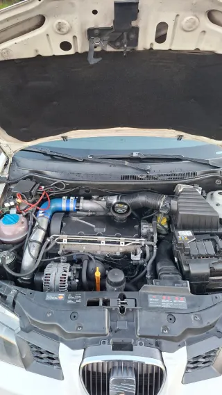 SEAT Ibiza Cupra R 2007