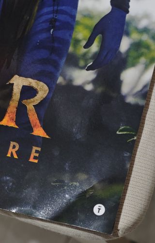 Poster Ufficiale Avatar Fuoco e Cenere