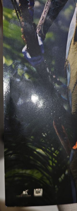 Poster Ufficiale Avatar Fuoco e Cenere