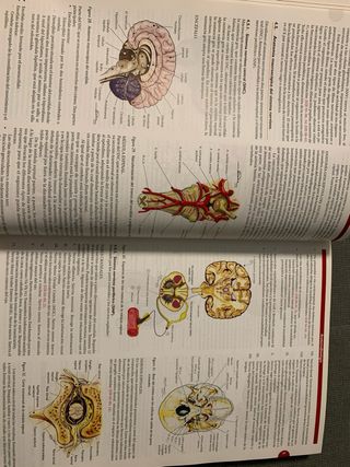 Manual CTO de enfermería