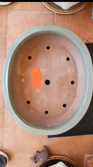 Maceta Bonsái Cerámica 58cm gris verdosa