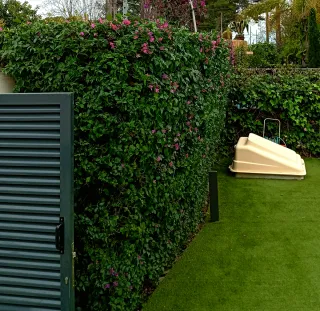 Servicios de Jardinería