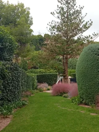 Servicios de Jardinería