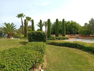 Servicios de Jardinería