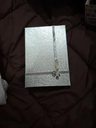 Gargantilla y pendientes plateados con detalles ro