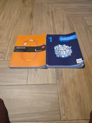 Economía  y Historia