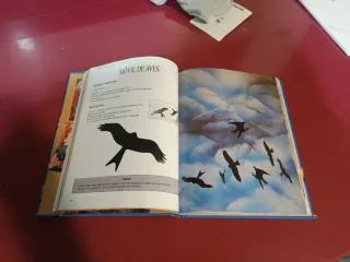 Bricolaje para niños (Tiempo Libre) (Spanish Ed...