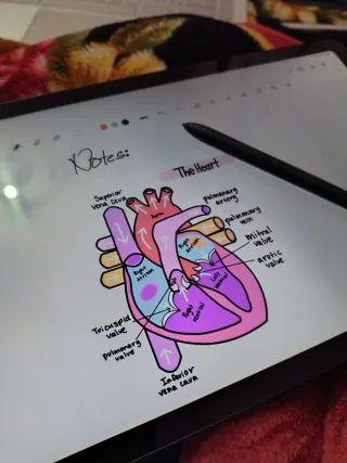 Samsung Galaxy Tab S6 Lite + Accessori