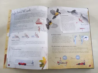 Los Ingenios De Leonardo Da Vinci (CIENTIFICOS ...