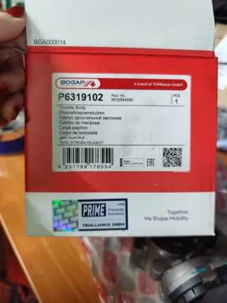 Cuerpo de mariposa BOGAP P6319102