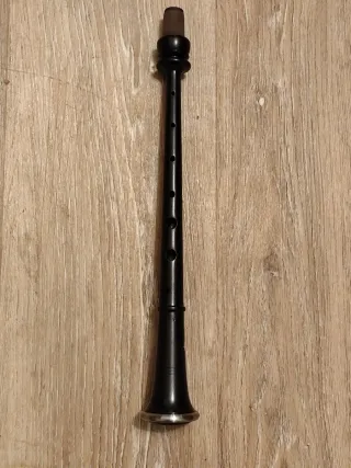 Puntero Gaita Gallega Sib